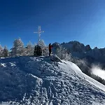 Franz-josef